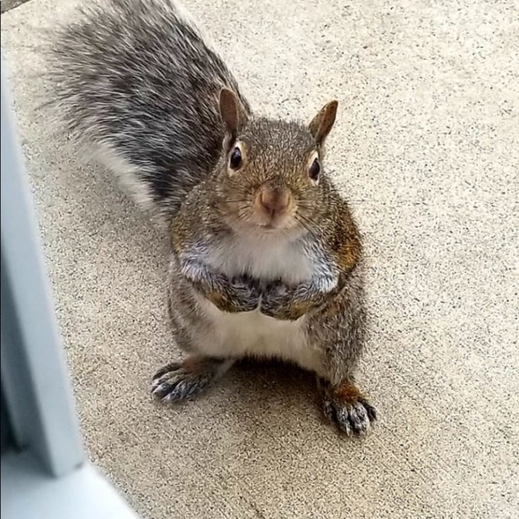 Meet your Posher, Debbie - Picture 3 of 15